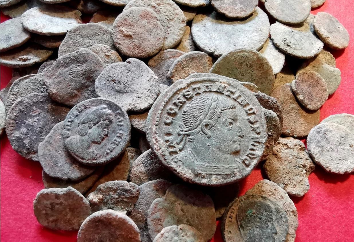 Borsuk odkopał monety sprzed 1800 lat