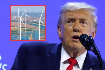 "Nie znalazłem wiatraków w Chinach". Badania przeczą teorii Donalda Trumpa