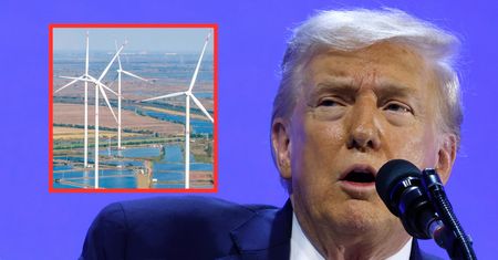 "Nie znalazłem wiatraków w Chinach". Badania przeczą teorii Donalda Trumpa