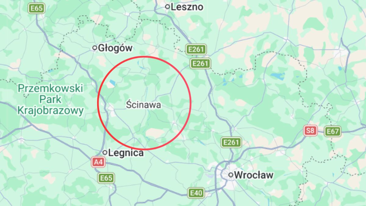 Radny ze Ścinawy oskarżony o pedofilię