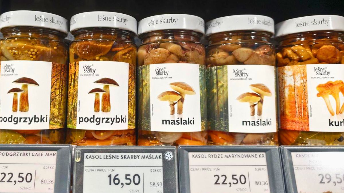 Grzyby na lotnisku w Gdańsku
