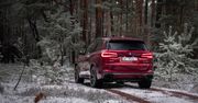 Test: BMW X5 xDrive 30d - z tym dieslem mógłbym jechać i na koniec świata