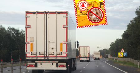 14 tys. kg cebuli z Rosji w rękach służb. Wykryto poważny błąd