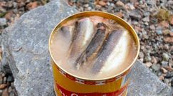 Surströmming - sfermentowane szwedzkie śledzie