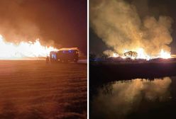 Ogromny pożar w zakładzie drewna. Przed strażakami długa walka