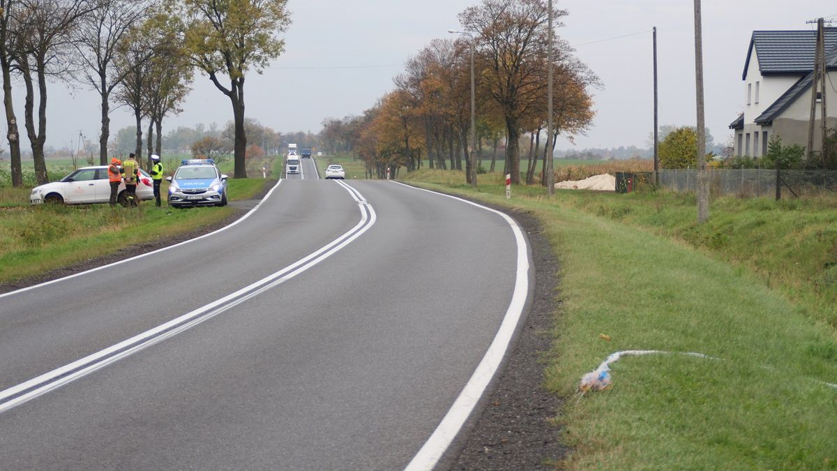 Zarządca drogi wraz z policją ustala przyczynę śmiertelnego wypadku