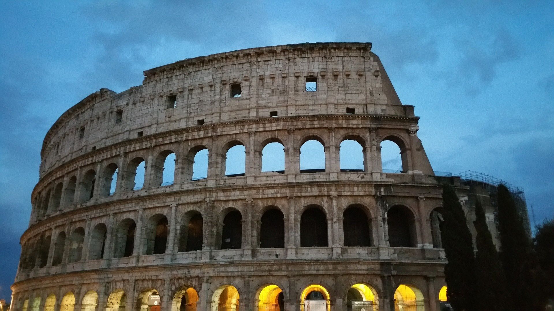 Dzicy lokatorzy w Koloseum. Nie uwierzysz, kto tam zamieszkał