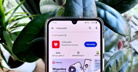 Zaświadczenie o niekaralności w mObywatelu? Trwają rozmowy w resortach