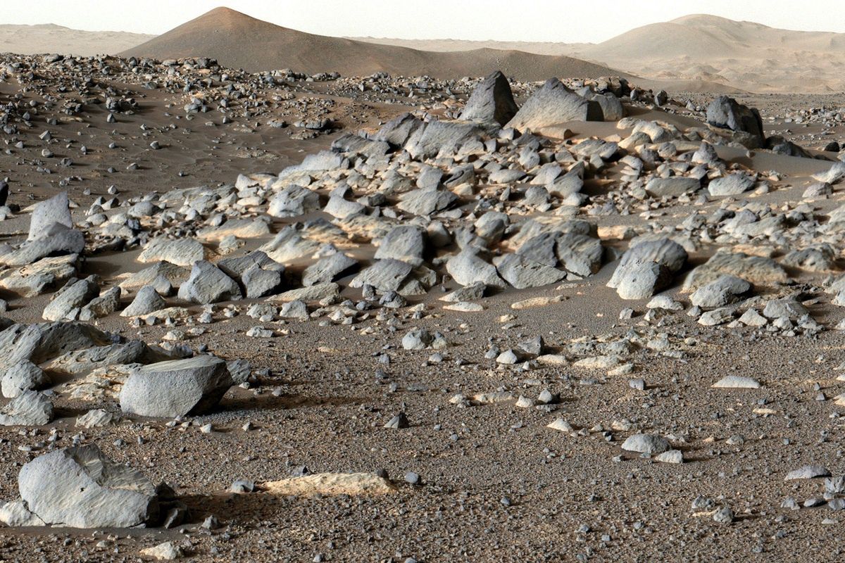 Le rover l’a découvert sur Mars.  Les scientifiques surpris – o2