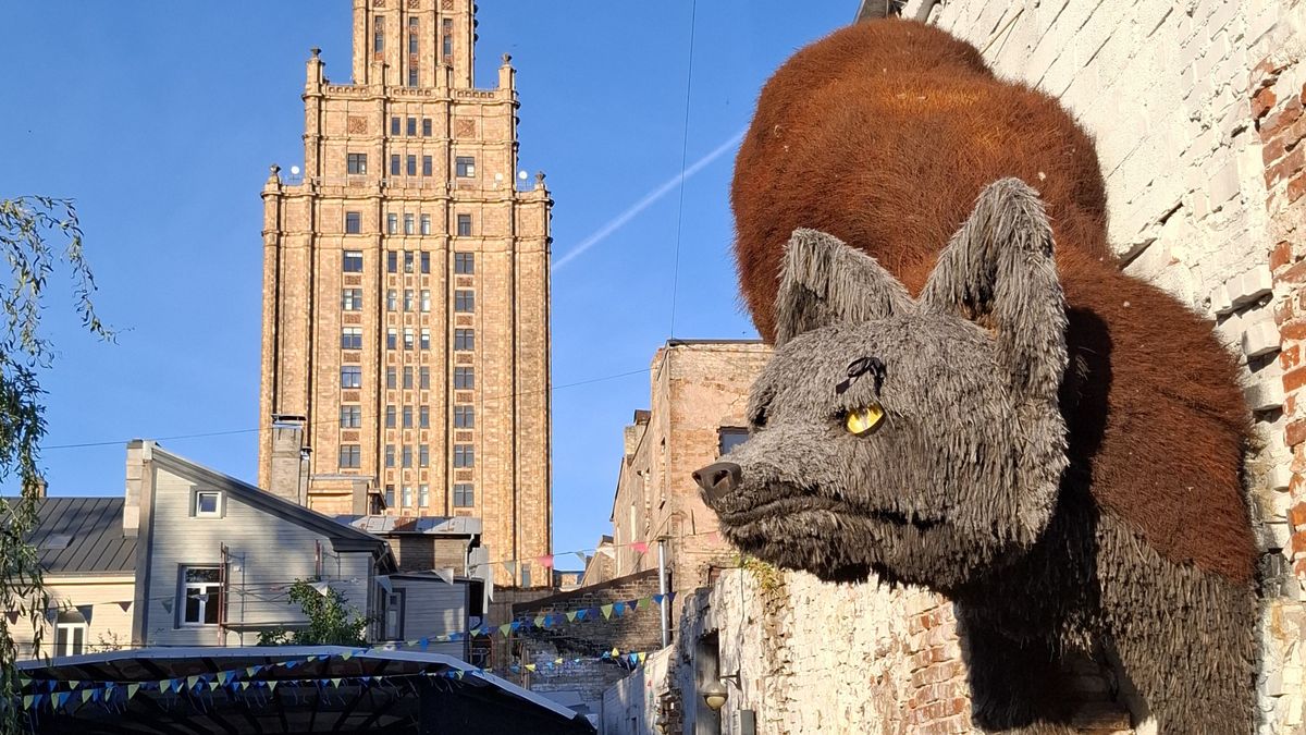 Instalacja z lisem, a w tle Łotewska Akademia Nauk - co za klima