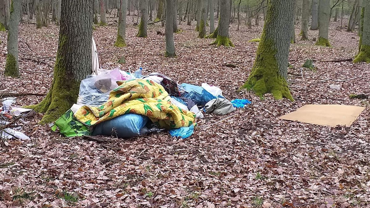Śmieci to w polskich lasach i parkach prawdziwa plaga.