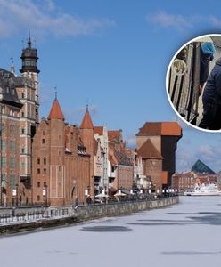 Kradzież szafy sprzed restauracji w Gdańsku. Pokazali zdjęcia sprawców