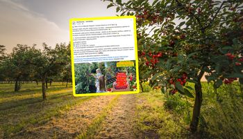 "Szykujcie wiadra". Tylko 6 zł za kilogram. 20 lipca się zacznie