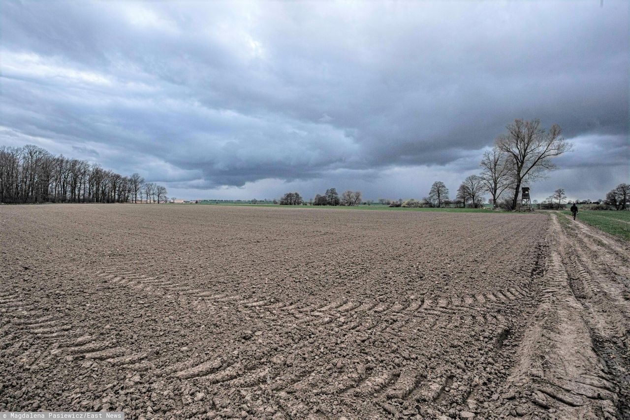 Tysiące hektarów pod wodą. Rolnicy mówią o stratach