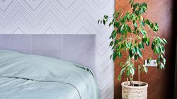 Rośliny, które oczyszczą powietrze w twoim domu