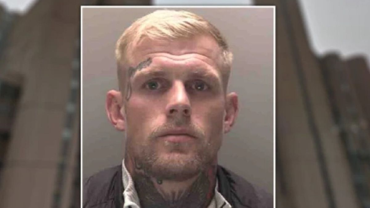 Zaatakował swoją partnerkę. Obronił ją pies (Screen: https://metro.co.uk)