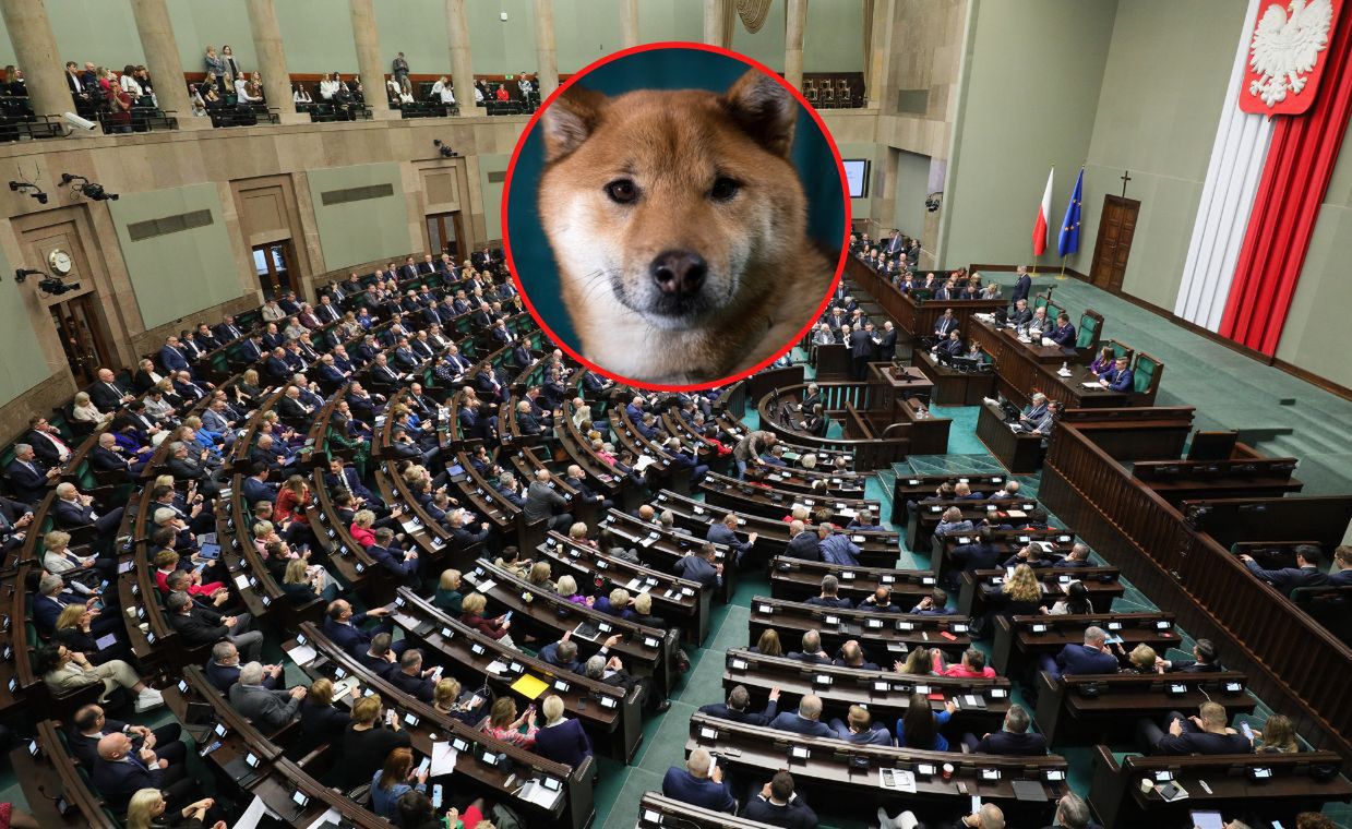 Zasadzka dziennikarska na posłów. Kompromitujące zachowanie