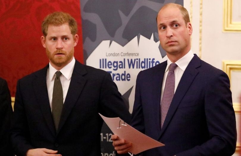 William i Harry wydali oświadczenie w sprawie pomnika upamiętniającego księżną Dianę