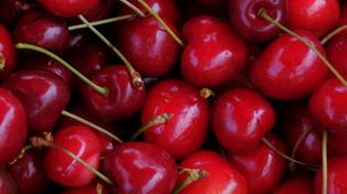Kupujesz czereśnie na bazarze? Sprawdź, co naprawdę w nich siedzi