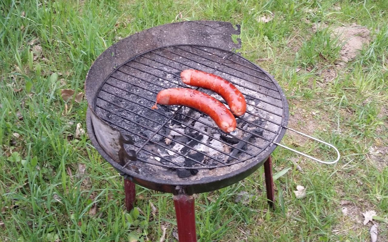 500 zł mandatu po grillu na działce. Świadek zrobił zdjęcie