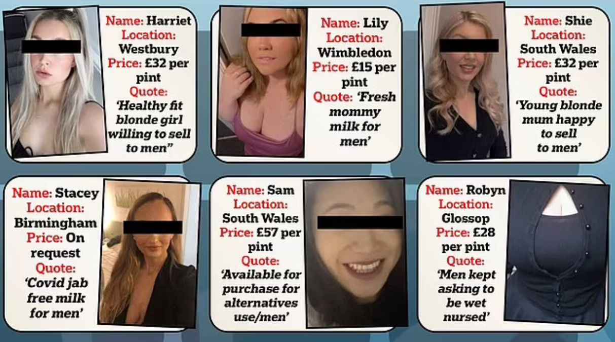 W sieci można znaleźć mnóstwo ofert