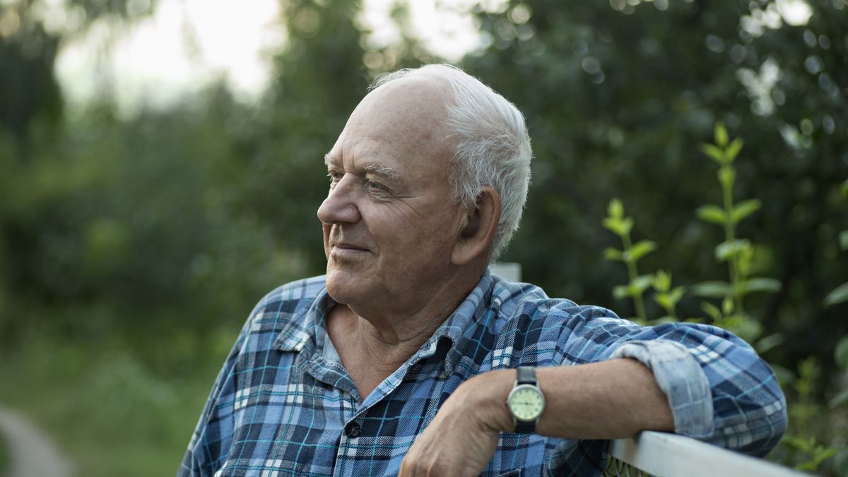 A senior man leaning on a fence and looking away serenely
fStop Images - Vladimir Godnik
horizontal, color, photography, series, outdoors, day, one person, senior men, 80 plus years, caucasian appearance, front view, head and shoulders, looking away, arm raised, leaning, chainlink fence, nature, standing, portrait, selective focus, ideas, non-urban scene, expressing positivity, confidence, enjoyment, individuality, lifestyles, content, aging process, retirement, serene people, real people, relaxation, resting, comfortable, casual clothing, plaid, button down shirt, white hair, balding, contemplation, day dreaming, solitude, tranquil scene, tranquility, leisure activity, getting away from it all, voronezh, russia