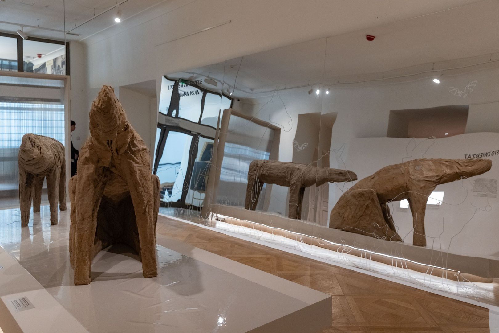 Wystawa &#34;Miasto zwierząt&#34; w Muzeum Krakowa