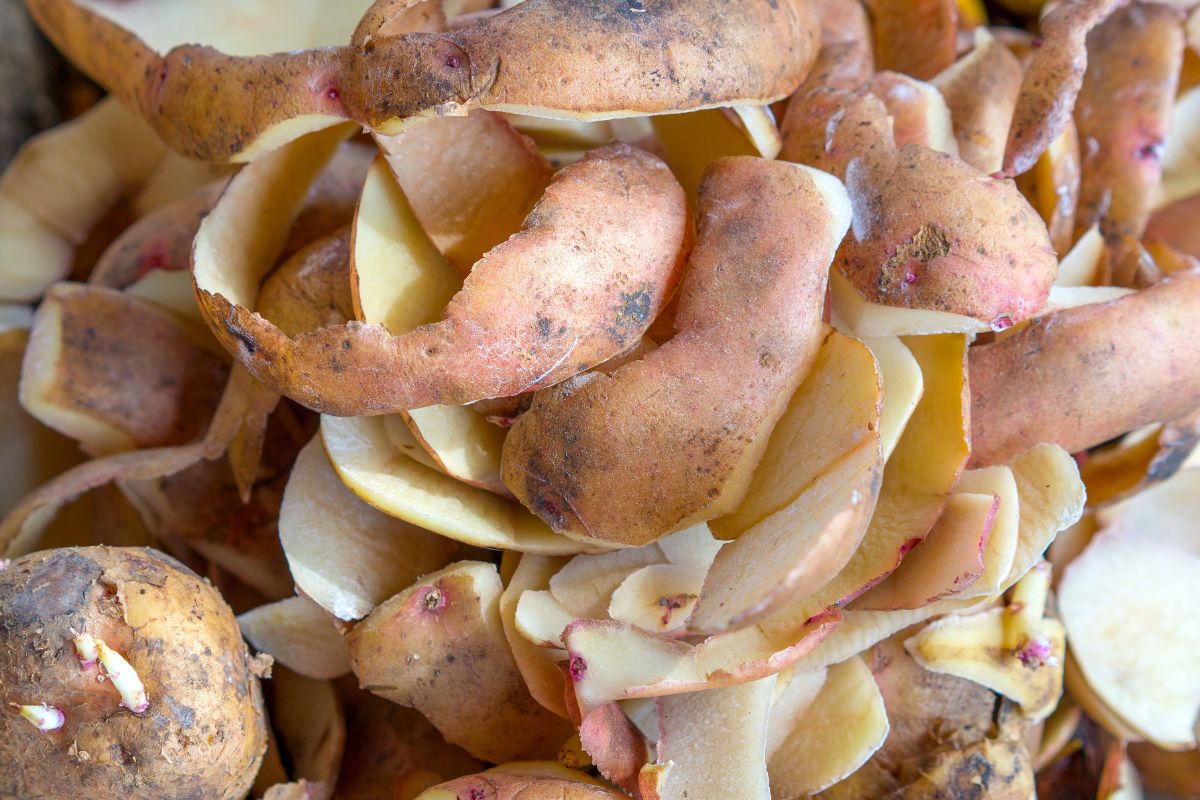 Obierki z ziemniaków nadają się na kompost