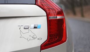 Ryba, łoś, prosiak – sprawdź, czy wiesz, co oznaczają naklejki na samochodach