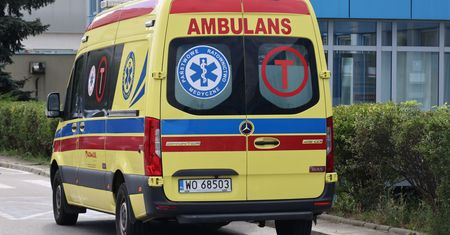 Dzieci zjadły "jagódki" z krzewu. Dwoje trafiło do szpitala