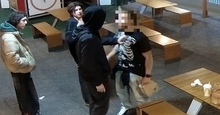 Bulwersujące sceny w McDonald's. Pokazali ujęcia z monitoringu