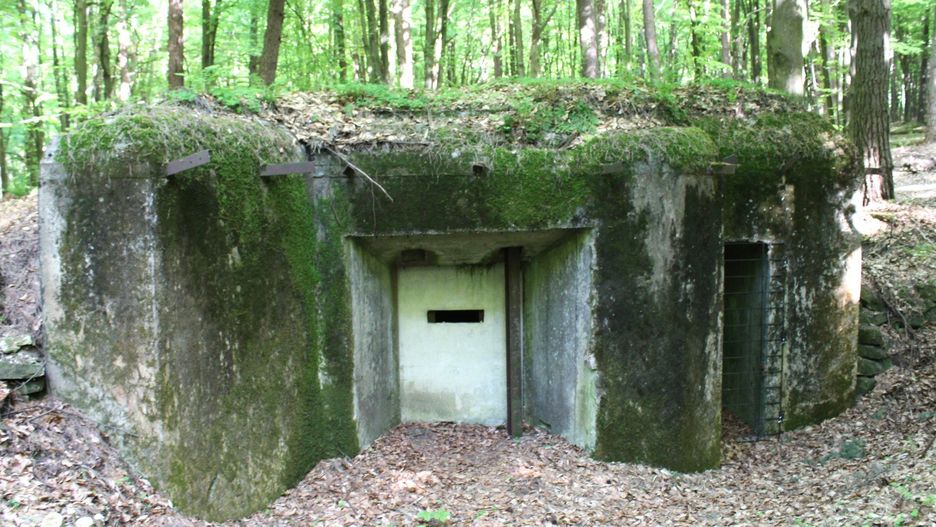 Bunkry Linii Mołotowa 