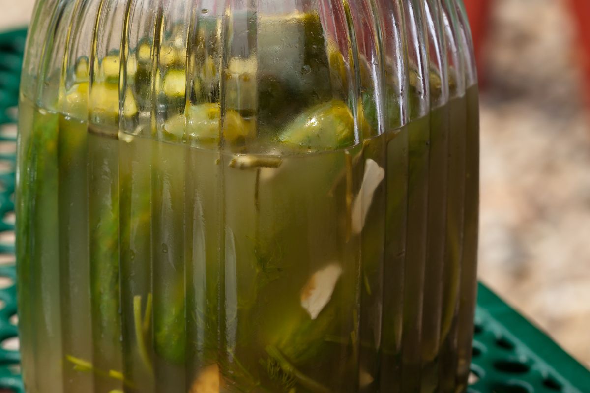 Cloudy and fizzy cucumbers. Check when they should be worrisome