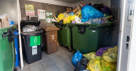 Jesteś pewien, że dobrze segregujesz śmieci? Sprawdź się