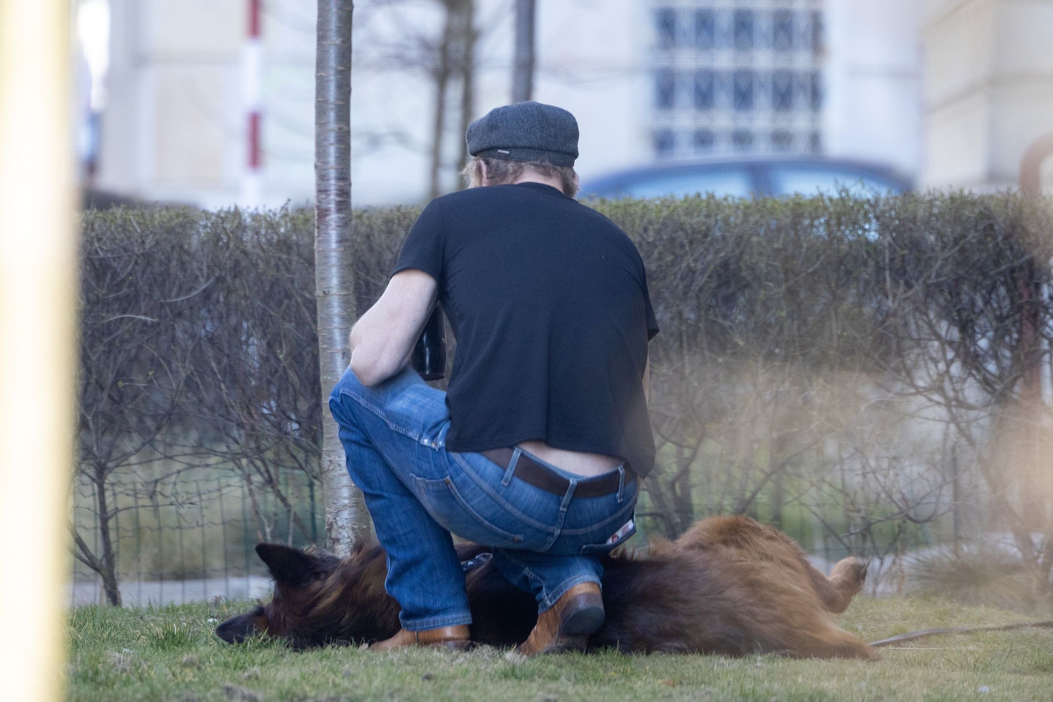 Eryk Lubos w codziennym wydaniu podczas zabawy z psem
