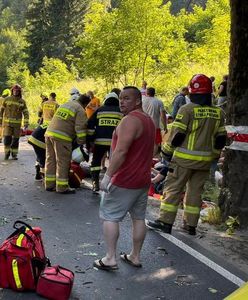 Autobus uderzył w drzewo. 14 osób rannych