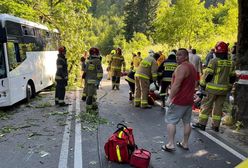 Autobus uderzył w drzewo. 14 osób rannych