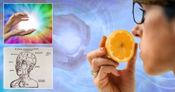 Zaginione zmysły człowieka. Czy naprawdę mieliśmy ich więcej?