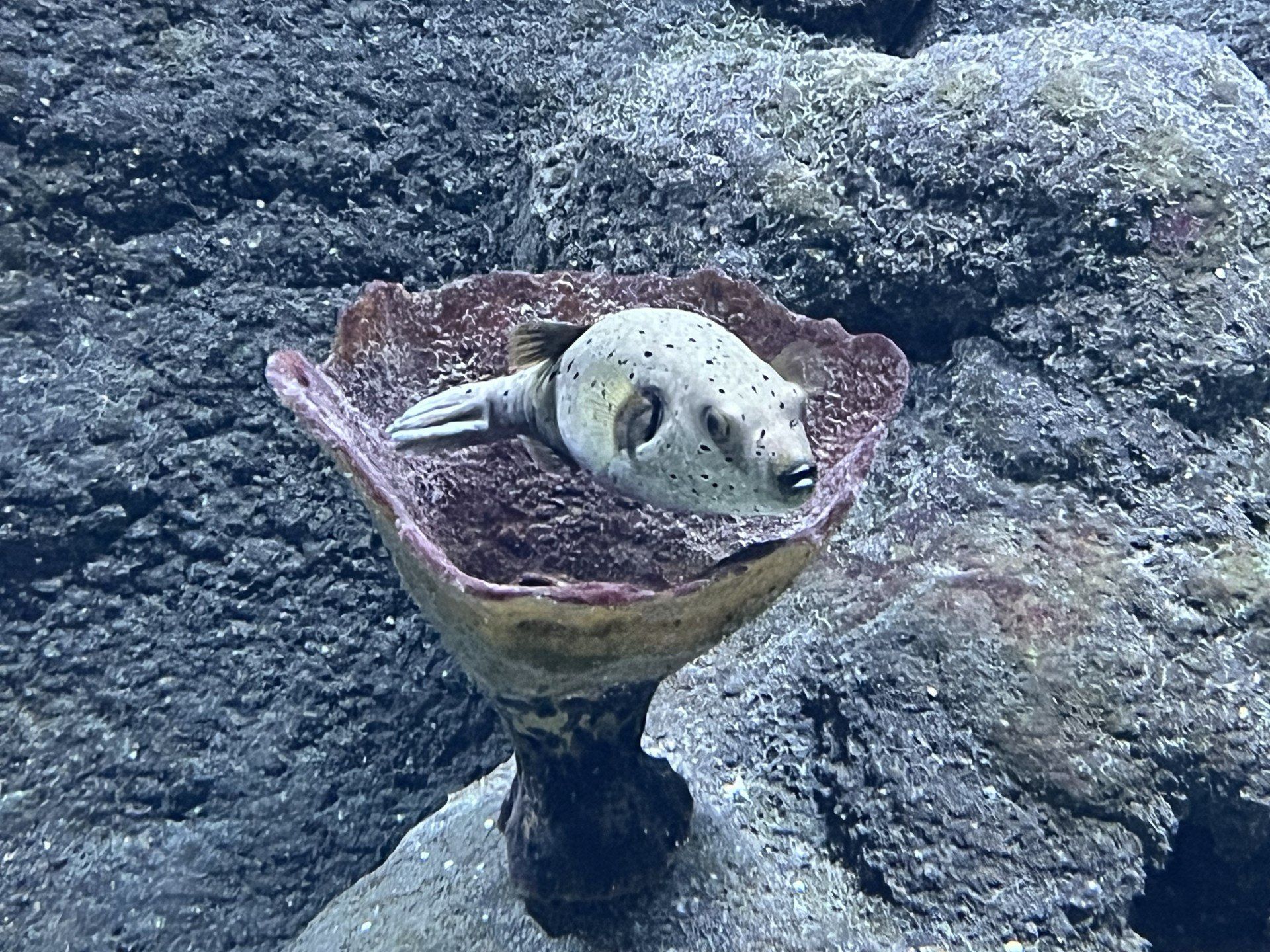 Orientarium w Łodzi