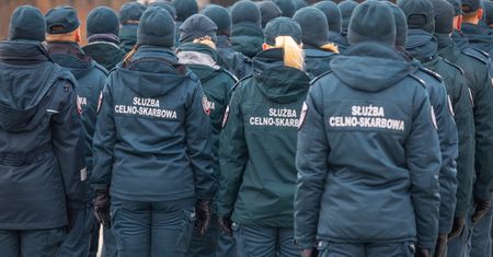 Nielegalnie importowali drewno z Rosji. Tak obchodzili sankcje