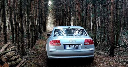 Uciekła do lasu, by uniknąć kontroli drogowej – 17-latce grozi 5 lat więzienia