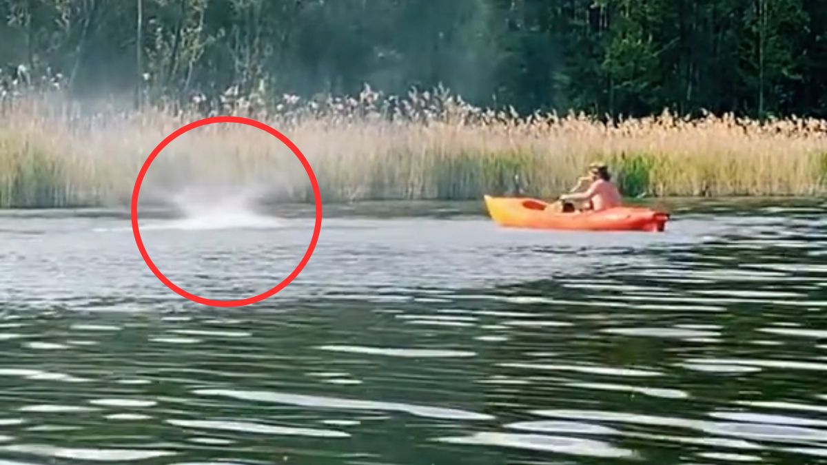 Groźne zdarzenie nad jeziorem.