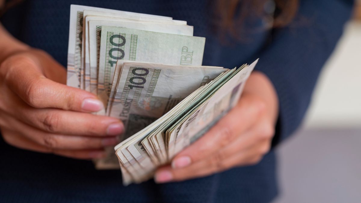 pieniądze, pieniądz, złoty, banknoty, złotówka, waluty