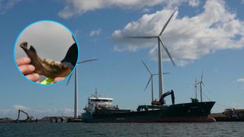 Znaleźli wrak "Dannebroge". Poruszenie w Danii "wszyscy nie przetrwali"