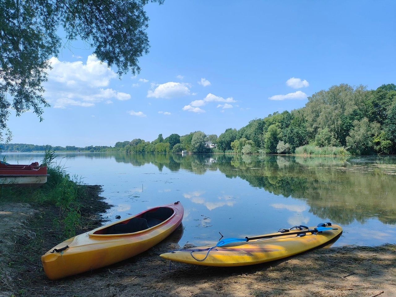 Tajemnicza plaża w lesie na Śląsku. Tu odpoczniecie bez tłumów