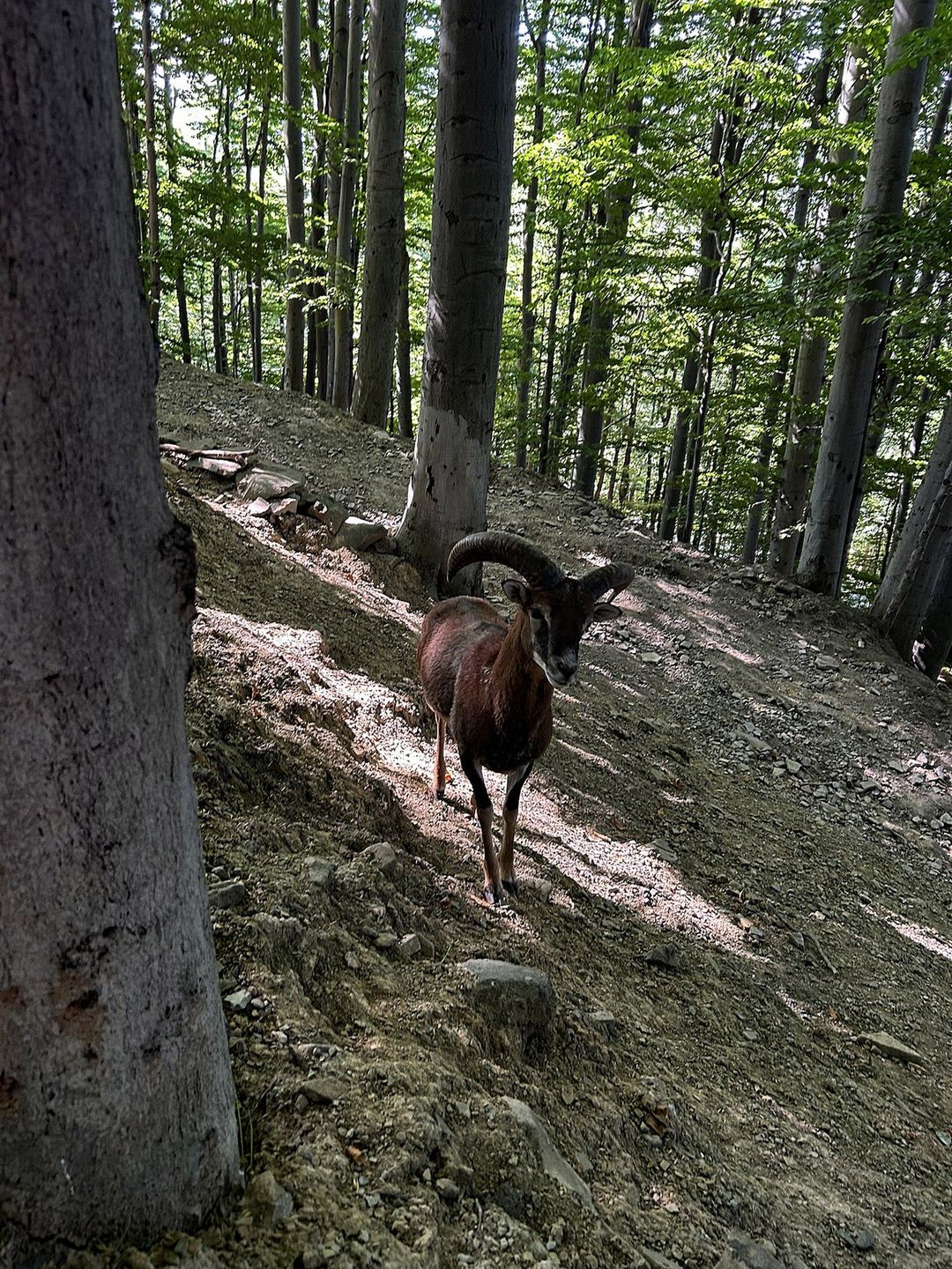 W Leśnym Parku Niespodzianek. W trosce o faunę i florę regionu