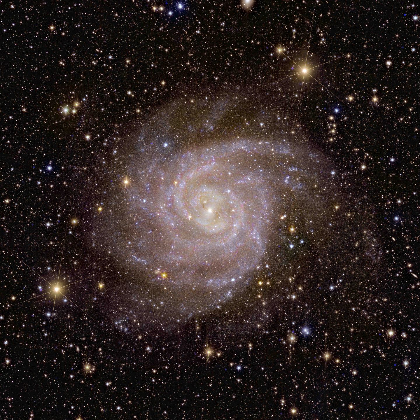 Galaktyka spiralna IC 342.