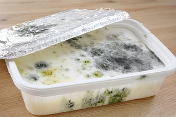 Czy spleśniały produkt zawsze trzeba wyrzucić? Wielu nie wie i popełnia błąd