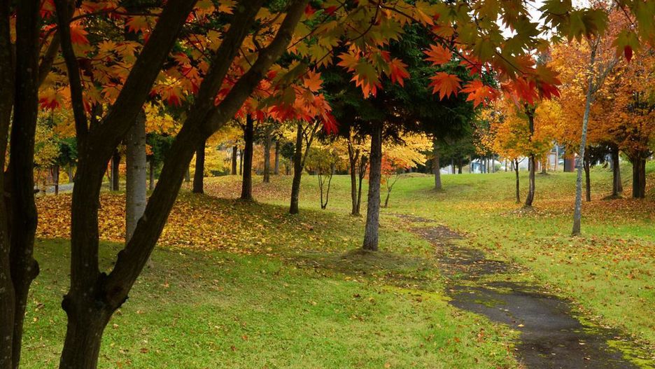 Pogoda na weekend i poniedziałek. 