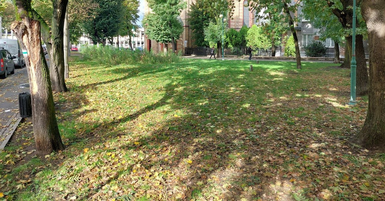 Inowrocław: Piastowie Kujawscy patronami skweru przy kościele św. Krzyża